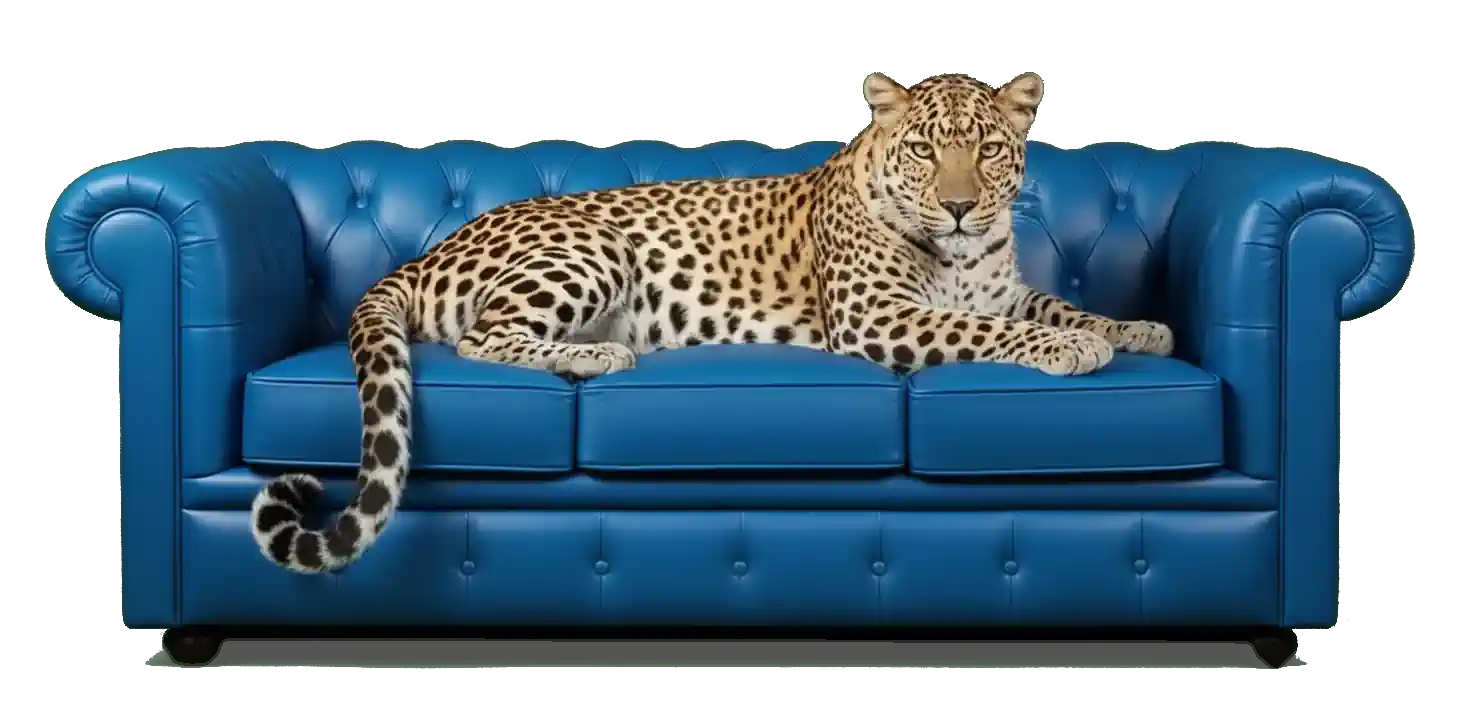 我的大街 — 本地精品好物